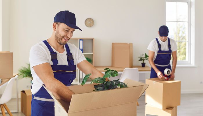 Understanding the Different Types of Packers and Movers Services